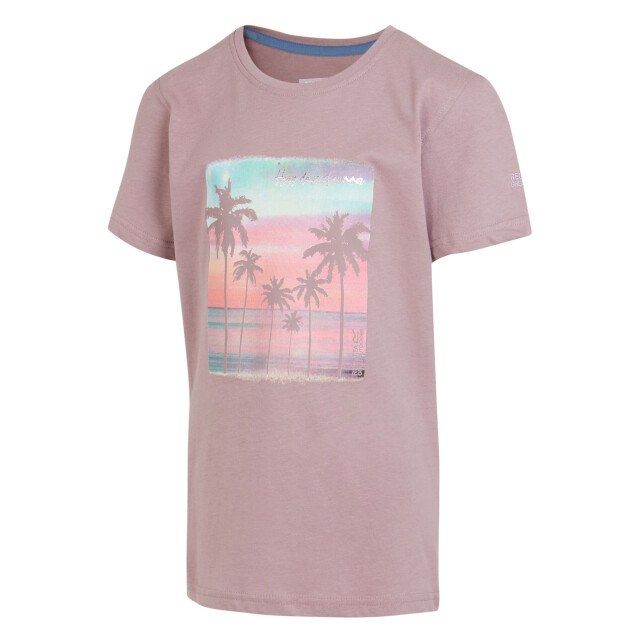 Regatta Bosley vii happy days of summer strand t-shirt kinderen/kinderen UTRG10611_heather large
