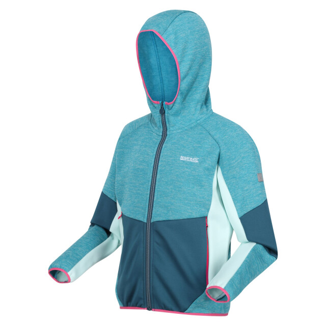 Regatta Kinder/kinder dissolver viii full zip fleecejack UTRG10505_tahoebluemoroccanbluebleachedaqua large