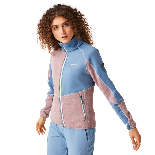 Regatta Dames lindalla vii marl full zip fleecejack UTRG10404_heathercoronetblue large