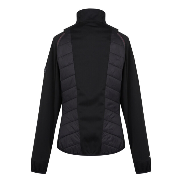 Regatta Dames steren ii hybride jas UTRG10401_blackflamingopink large