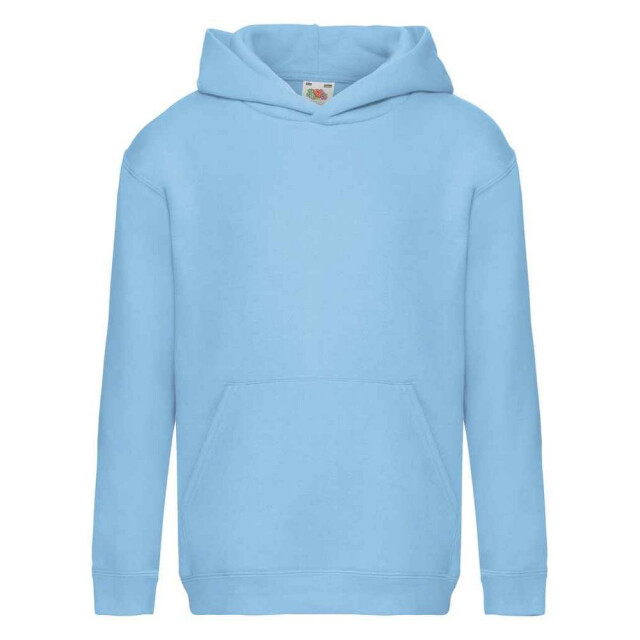 Fruit of the Loom Kinder/kids premium hoodie UTFK2833_skyblue large