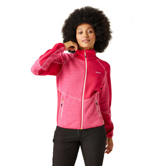 Regatta Dames lindalla vii marl full zip fleecejack UTRG10404_flamingopinkpinkpotion large