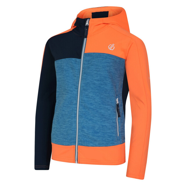 Dare2b Kinder/kids thriving ii midlayer UTRG10060_livewireniagarablue large