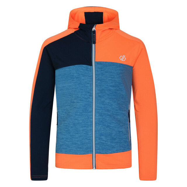 Dare2b Kinder/kids thriving ii midlayer UTRG10060_livewireniagarablue large