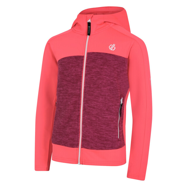Dare2b Kinder/kids thriving ii midlayer UTRG10060_berrypinkneonpink large