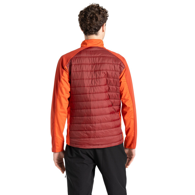 Dare2b Heren mountaineer hybride jas UTRG10059_tuscansyrahred large