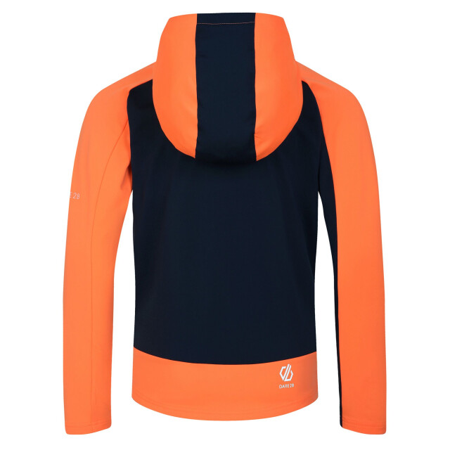 Dare2b Kinder/kids thriving ii midlayer UTRG10060_livewireniagarablue large