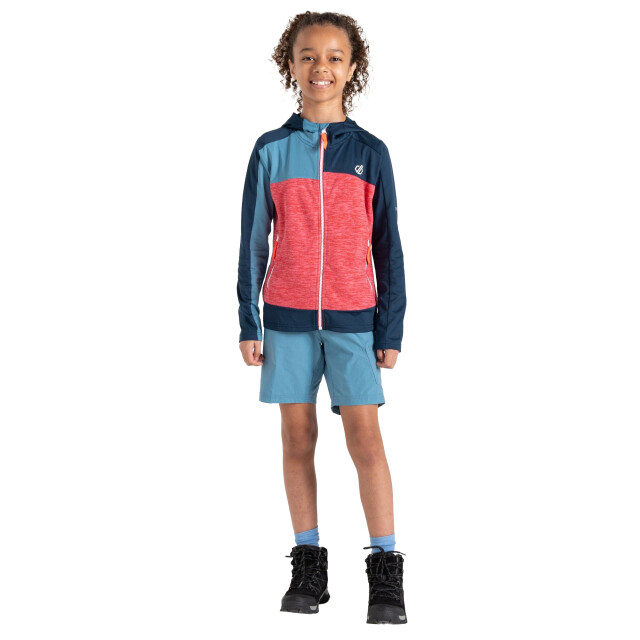 Dare2b Kinder/kids thriving ii midlayer UTRG10060_sorbetpinkmoonlightdenim large