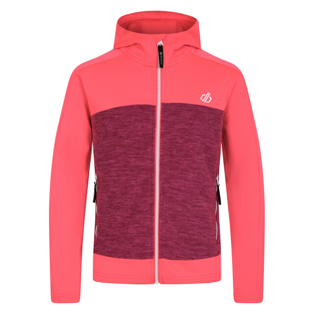 Dare2b Kinder/kids thriving ii midlayer UTRG10060_berrypinkneonpink large