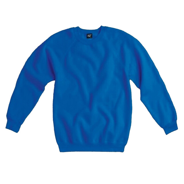 SG Heren raglan mouw crew hals sweatshirt UTFK772_royal large