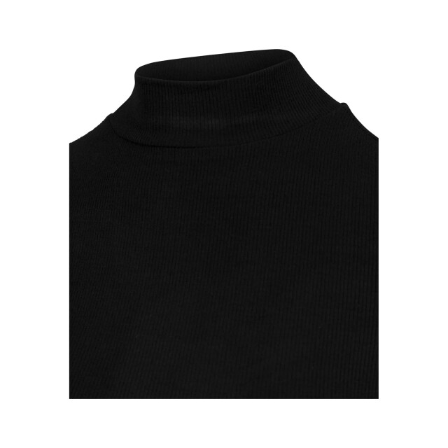 Urban Classics Dames schildpadhals top met lange mouwen UTTN373_black large