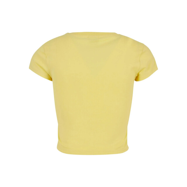 Urban Classics Dames jersey stretch crop t-shirt UTTN521_vintagesun large