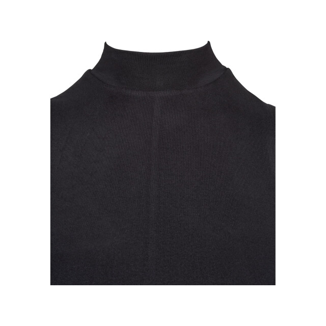 Urban Classics Dames a-lijn schildpadhals casual jurk UTTN147_black large