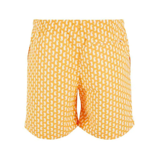 Urban Classics Seahorse zwemshort heren UTTN1435_magicmango large