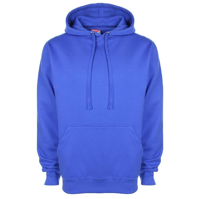 FDM Unisex plain original hooded sweatshirt / hoodie (300 gsm) UTFK367_royal large