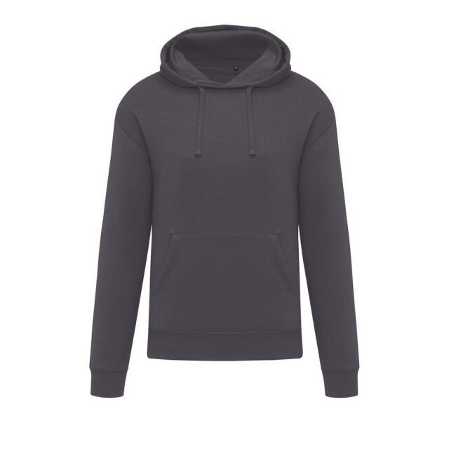 SG Effen heren hoodie UTFK3335_grey large