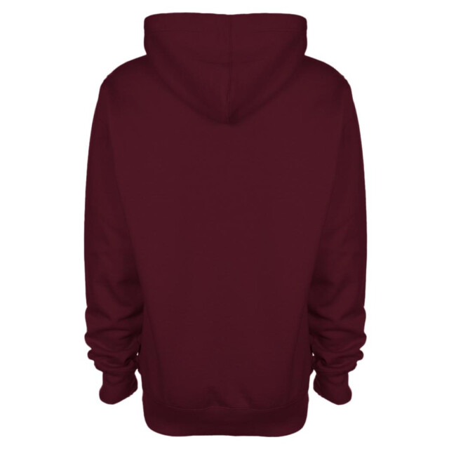 FDM Unisex plain original hooded sweatshirt / hoodie (300 gsm) UTFK367_burgundy large