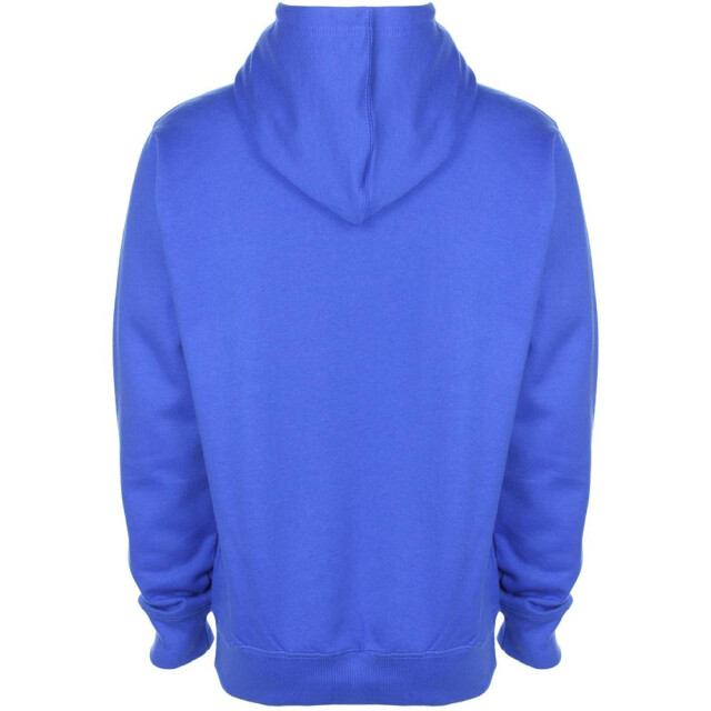 FDM Unisex plain original hooded sweatshirt / hoodie (300 gsm) UTFK367_royal large