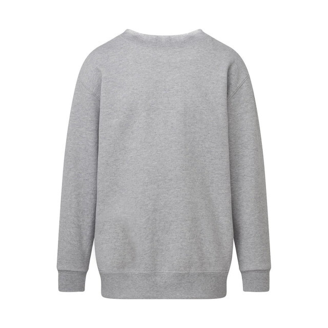 SG Sweatshirt met ronde hals voor kinderen/kinderen UTFK3289_ashgrey large