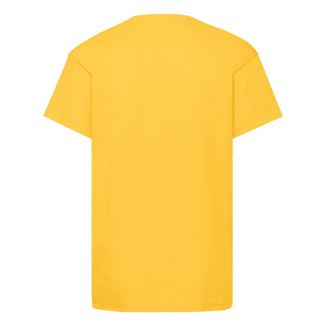 Fruit of the Loom Origineel t-shirt voor kinderen UTFK3081_sunflower large