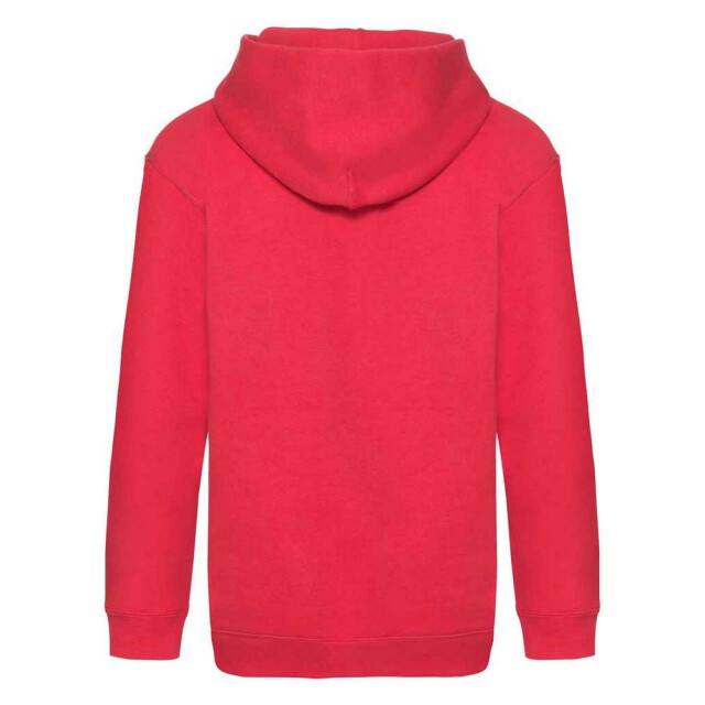 Fruit of the Loom Kinder/kids premium hoodie UTFK2833_red large