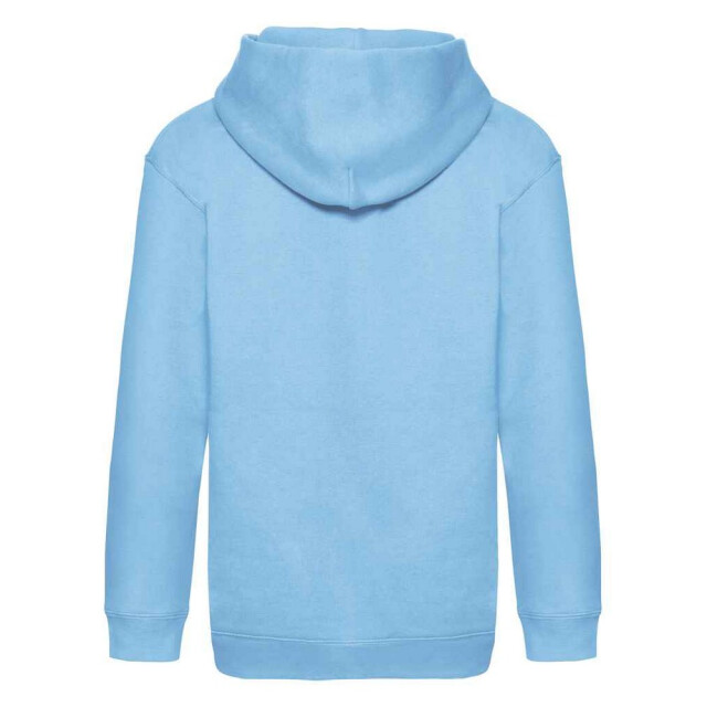 Fruit of the Loom Kinder/kids premium hoodie UTFK2833_skyblue large