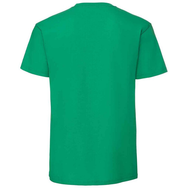 Fruit of the Loom Heren iconic 195 premium ringspun katoen t-shirt UTFK2657_kellygreen large