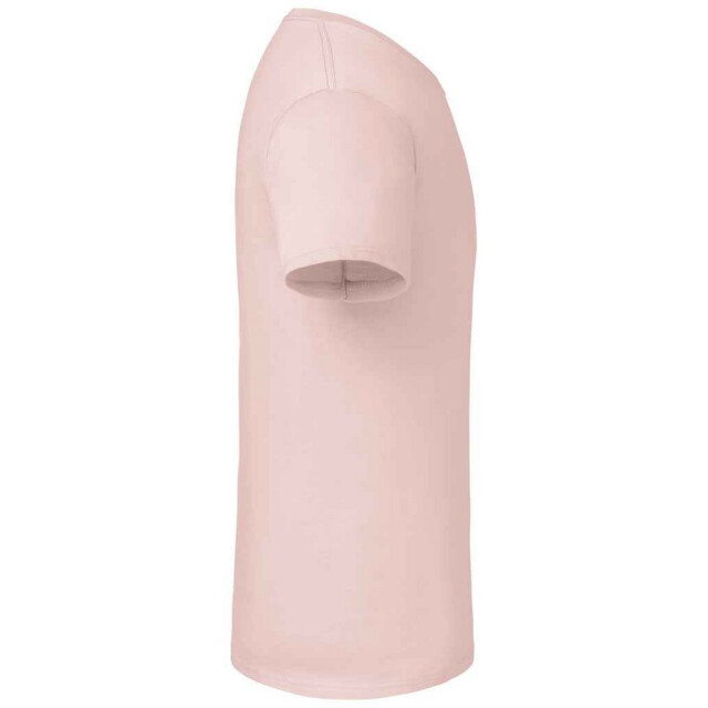 Fruit of the Loom Heren iconic 195 premium ringspun katoen t-shirt UTFK2657_powderrose large