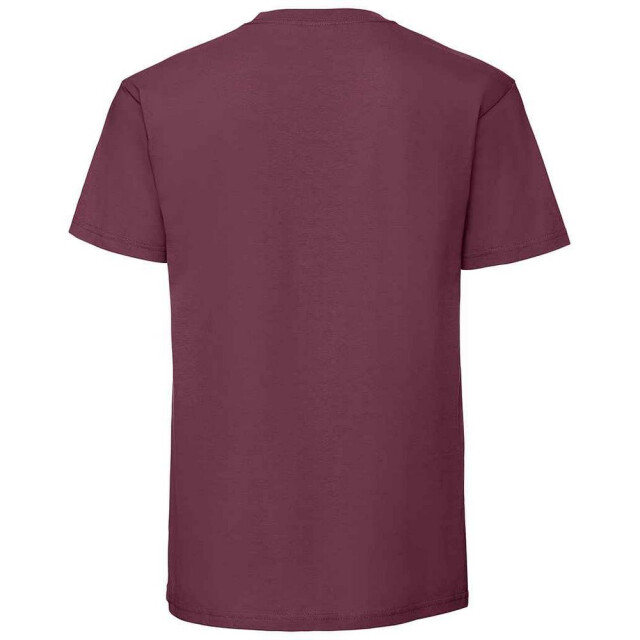 Fruit of the Loom Heren iconic 195 premium ringspun katoen t-shirt UTFK2657_burgundy large