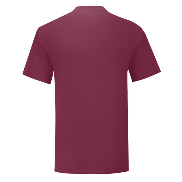 Fruit of the Loom Heren iconisch 150 t-shirt UTFK2628_burgundy large