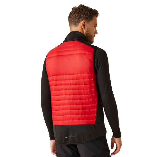Regatta Heren e-volve hybride thermo gilet UTFK2561_classicredblack large
