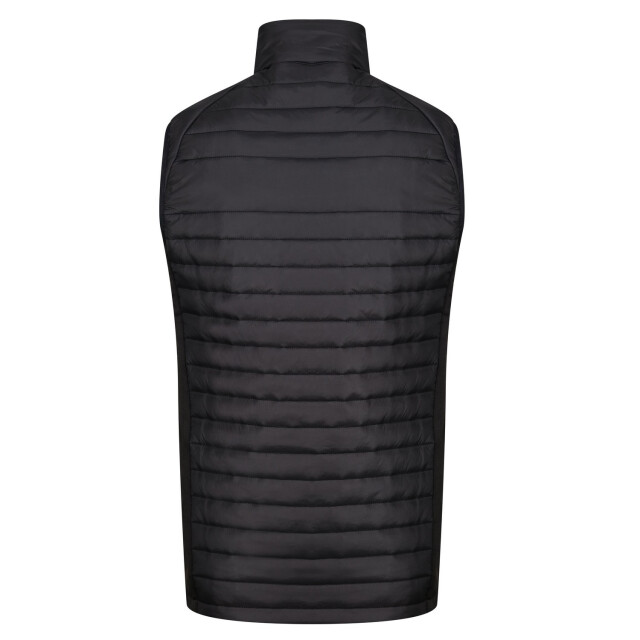 Regatta Heren navigate hybride body warmer UTFK2549_blacknewroyal large