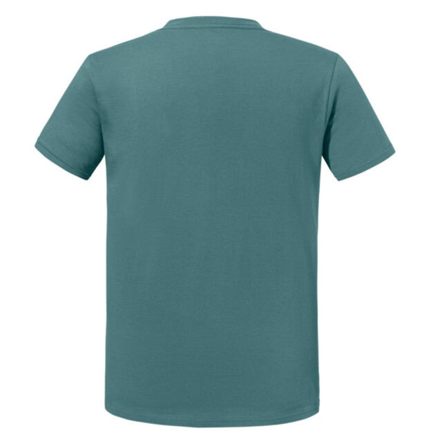 Jerzees Colours Heren premium organic t-shirt UTFK2639_sage large