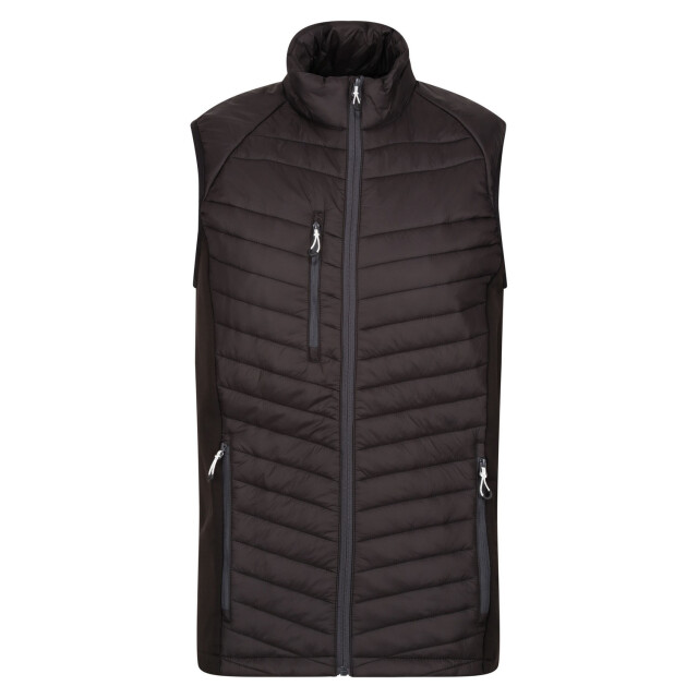 Regatta Heren navigate hybride body warmer UTFK2549_blacksealgrey large