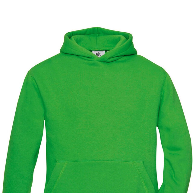 B and C Effen hoodie kinderen/kinderen UTFK2553_realgreen large