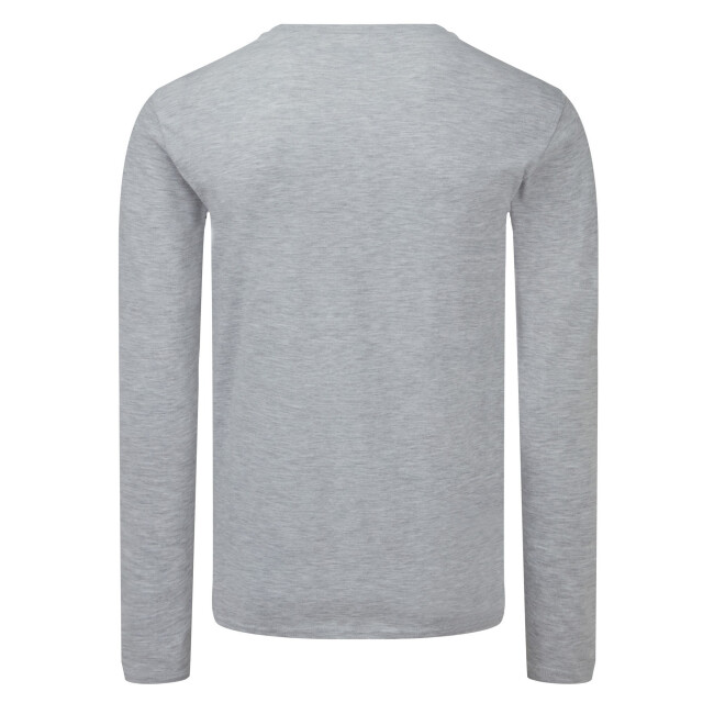 Fruit of the Loom Unisex adult iconic heather t-shirt UTLT1439_heathergrey large