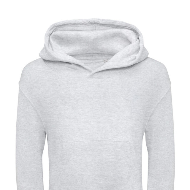 SG Effen hoodie kinderen/kinderen UTFK2259_ashgrey large