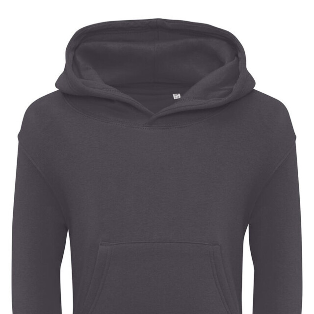 SG Effen hoodie kinderen/kinderen UTFK2259_grey large