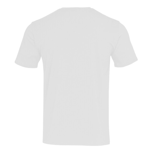 Stedman Stars Heren clive crew neck relaxed fit t-shirt UTFK2022_white large