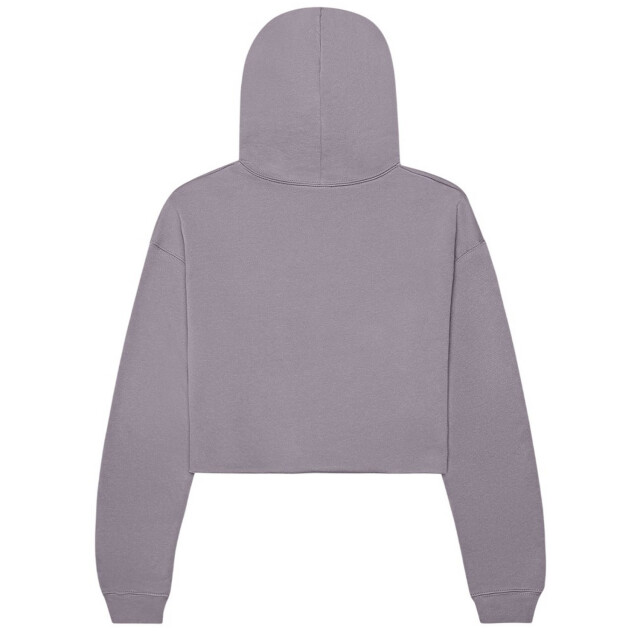 Bella + Canvas Dames fleece crop hoodie UTFK1989_storm large