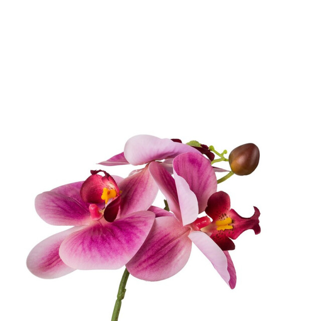 Kopu ® set 2 stuks kunstplant mini orchidee 27 cm in witte sierpot - 3037455 large