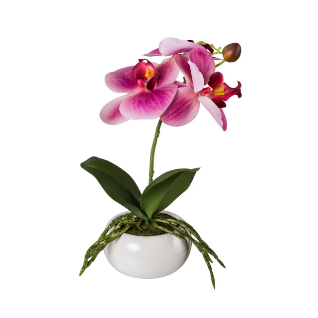 Kopu ® set 2 stuks kunstplant mini orchidee 27 cm in witte sierpot - 3037455 large