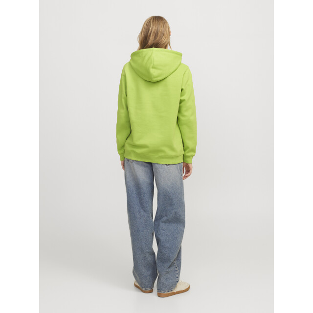 Jack & Jones Jxabbie rlx ls every hood swt noos 12223961 large