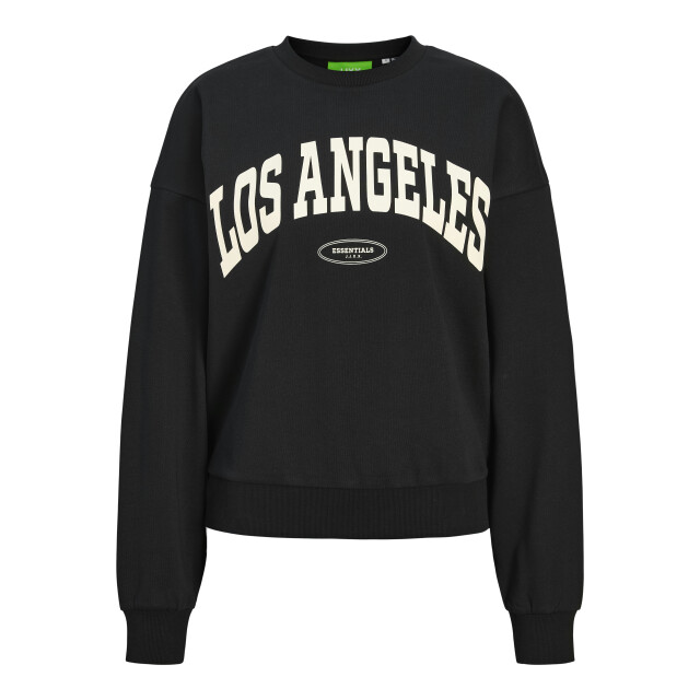 Jack & Jones Jxmerle spring rlx short ls crew sw 12269058 large