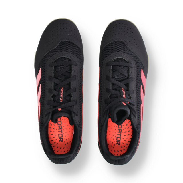 Adidas Predator club in sala if6406 ADIDAS predator club in sala if6406 large
