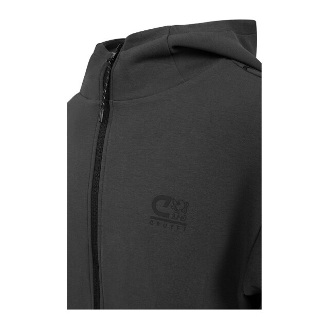 Cruyff CRUYFF SPORTS Ignite Tape Hood csa243022-901 Vesten & Sweaters Antraciet CRUYFF SPORTS Ignite Tape Hood csa243022-901 large