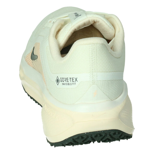 Nike Pegasus 41 gore-tex 132837 large