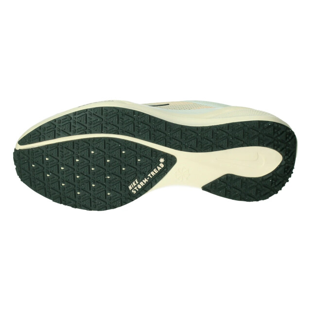 Nike Pegasus 41 gore-tex 132837 large