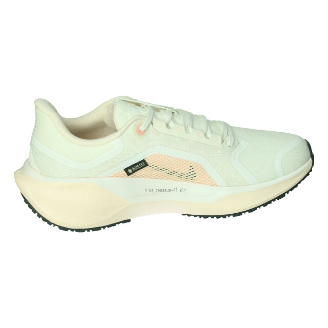 Nike Pegasus 41 gore-tex 132837 large