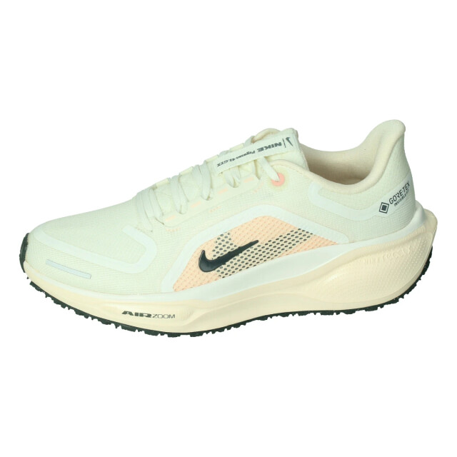 Nike Pegasus 41 gore-tex 132837 large